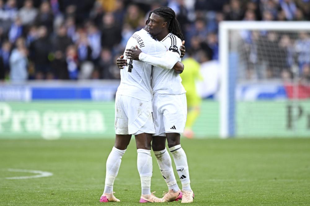 成遮羞布 成遮羞布